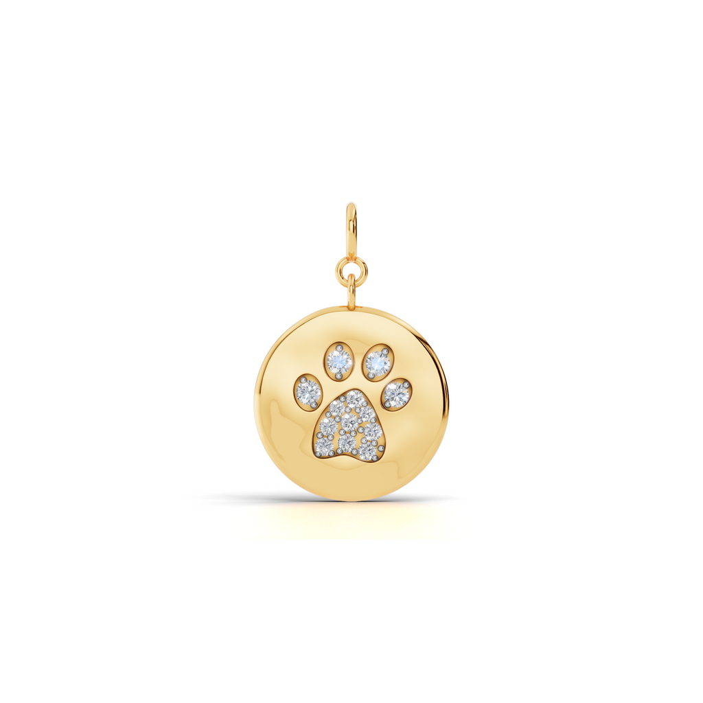 Forever Paw Coin Charm