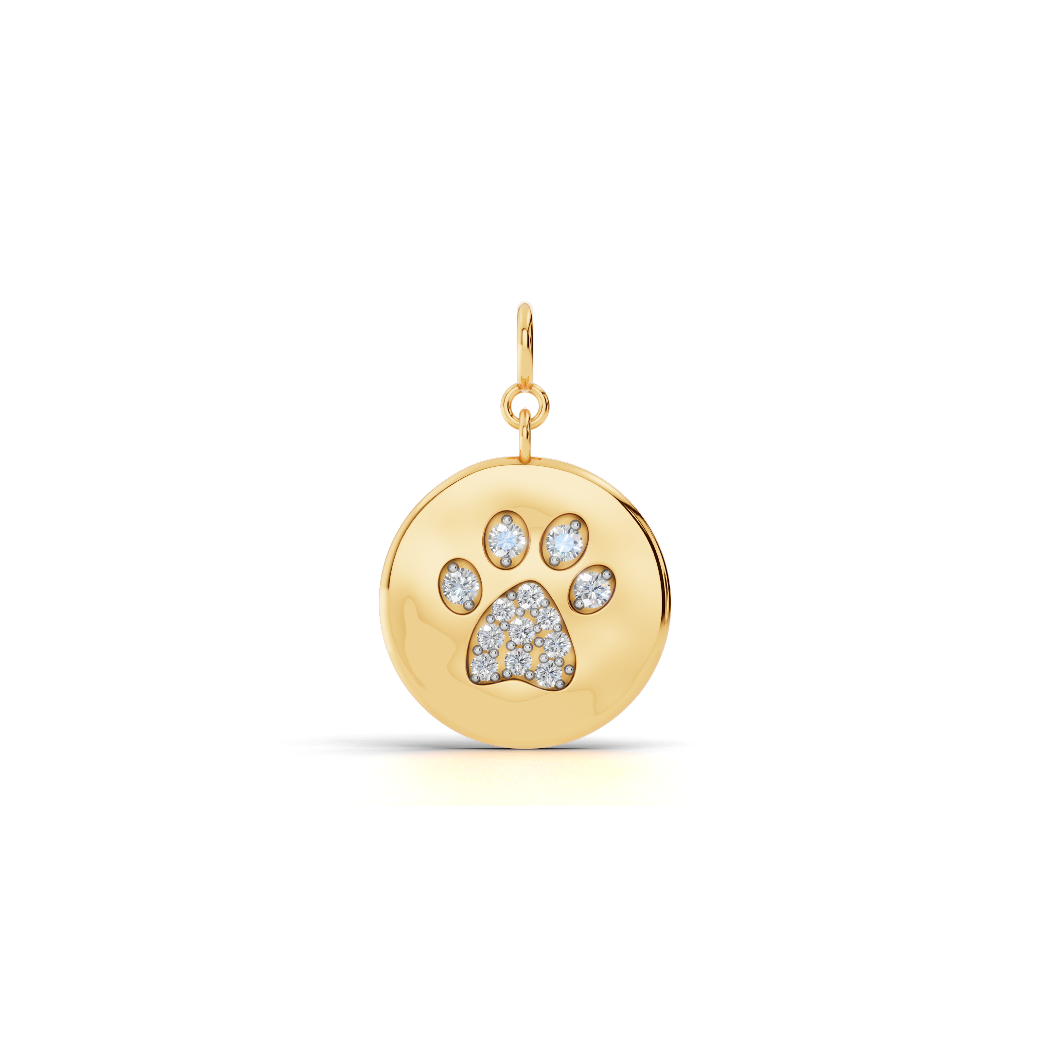 Forever Paw Coin Charm