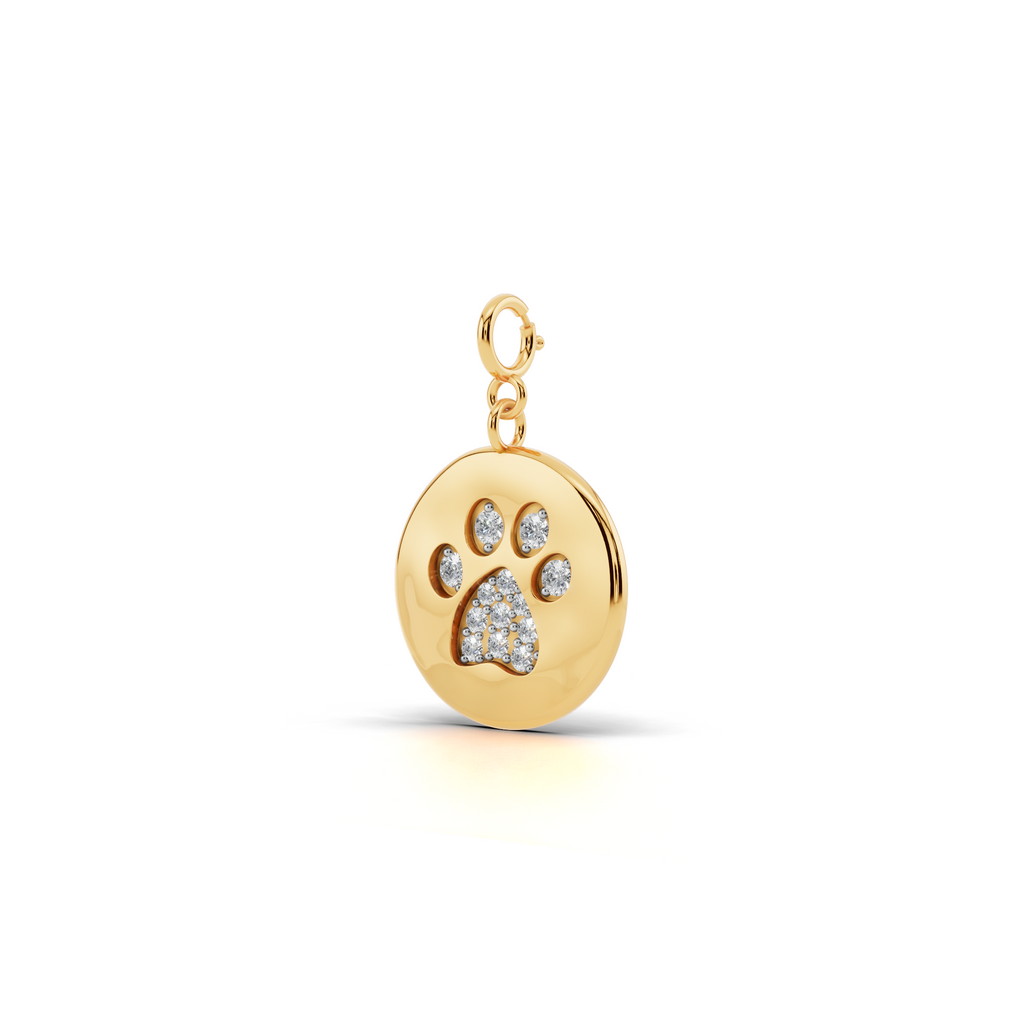 Forever Paw Coin Charm