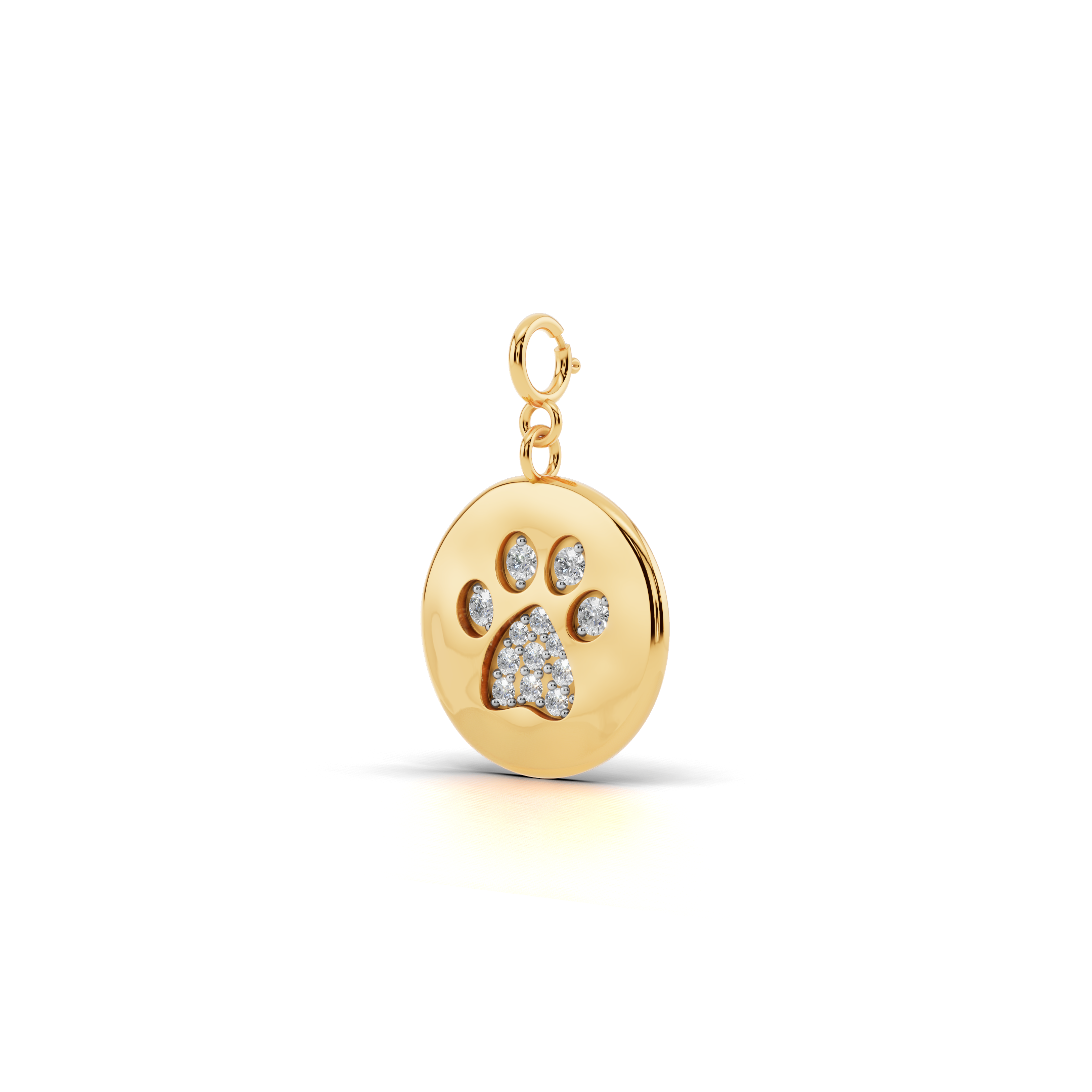 Forever Paw Coin Charm