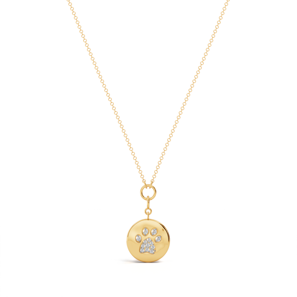 Forever Paw Coin Charm