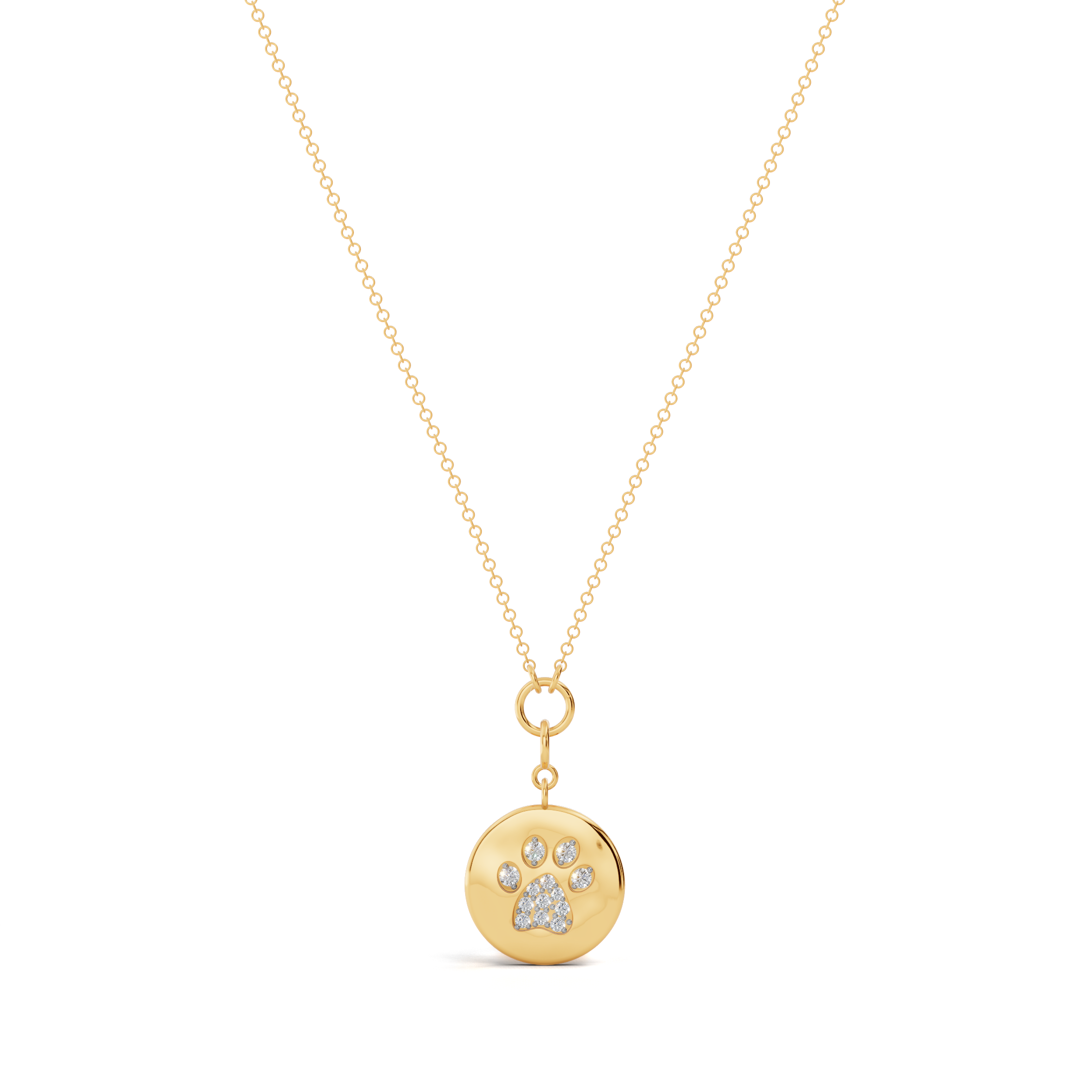 Forever Paw Coin Charm
